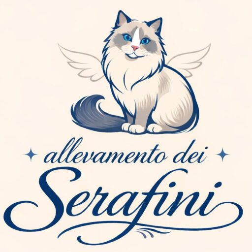 Allevamento Ragdoll dei Serafini
